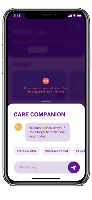 Chatting with the Care Companion chatbot